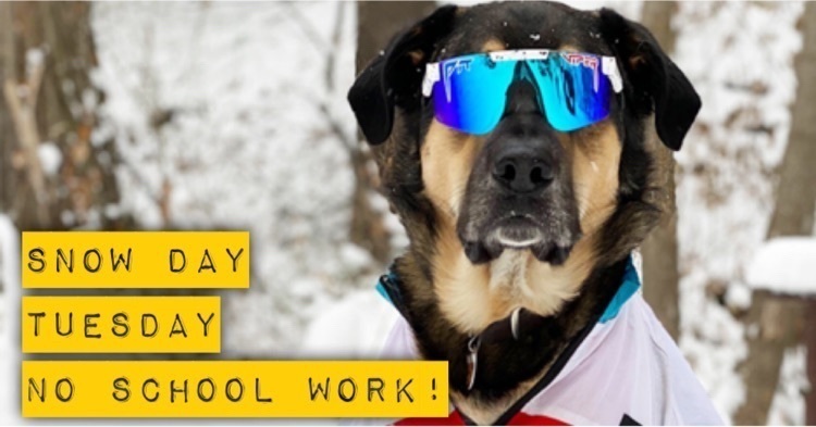 no school