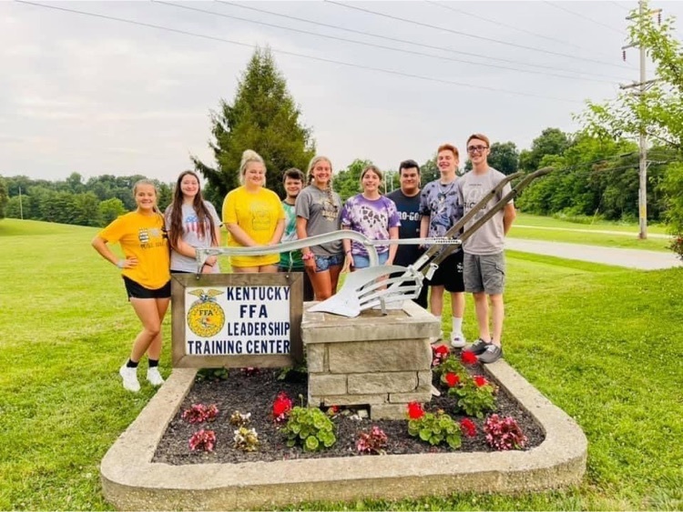 ffa group