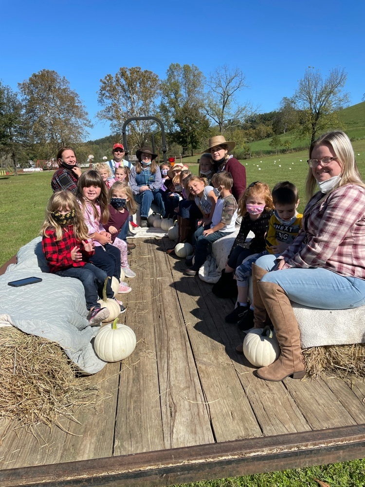 pumpkins