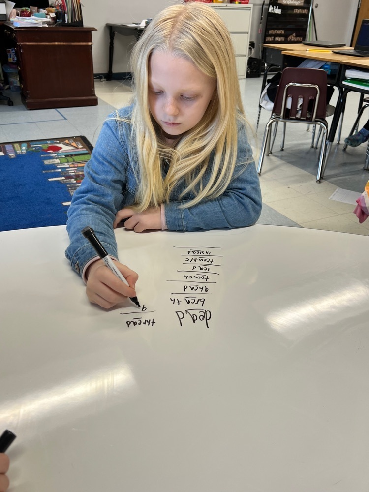 Wonders Reading Groups